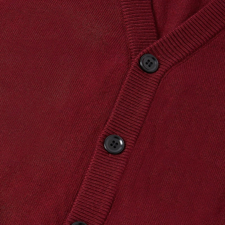 Leonard | Buttoned V-Neck Sweater Vest